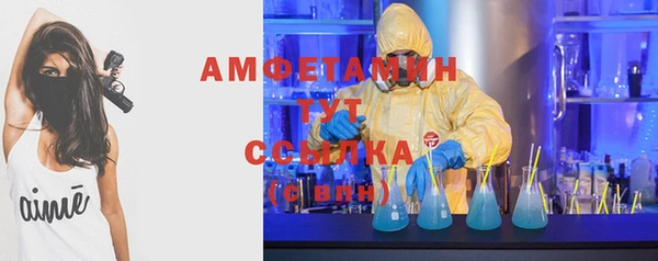 эйфоретик Бородино