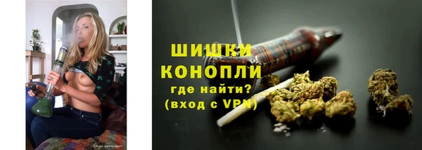 эйфоретик Бородино