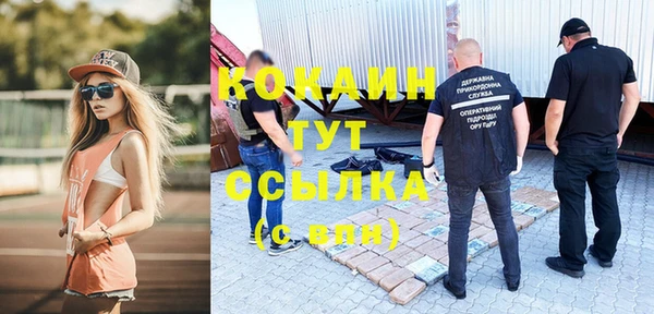 эйфоретик Бородино