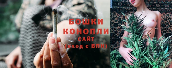 ECSTASY Богородицк