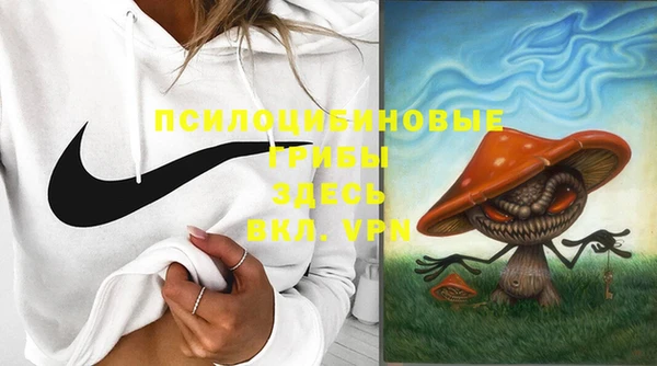 эйфоретик Бородино