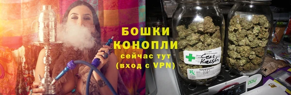 ECSTASY Бронницы