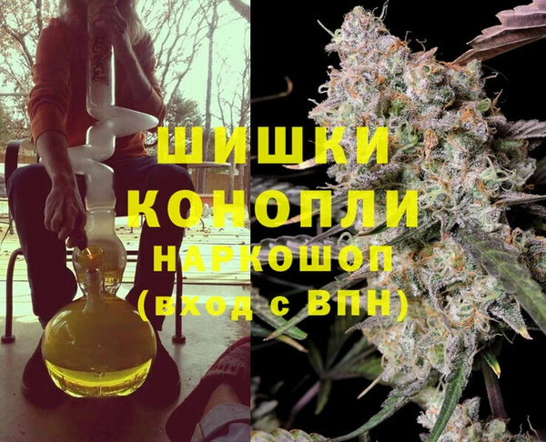 эйфоретик Бородино